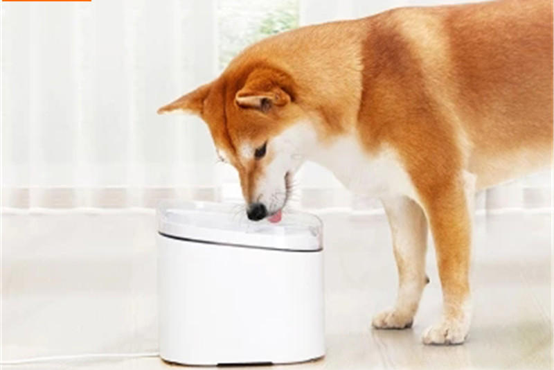 Kitten & Puppy - adapator automat pentru caini_cr